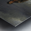 A Woman from the Land of Eskimos [1826] by Léon Cogniet [1794–1880] Metal print