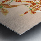 Odontoglossum Triumphans [1885] by Harriet Stewart Miner [1840–1895] Metal print