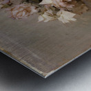 Roses [1890] by Abbott Handerson Thayer [1849–1921] Metal print