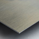 A Bellowing Stag by Moritz Müller [1841–1899] Metal print