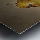 Three Pears and an Apple [1857] by David Johnson [1827–1908] Metal print