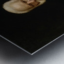 Portrait de Victor Hugo by Aimé Morot [1850–1913] Metal print