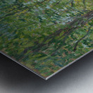 Trees by Vincent van Gogh [1853–1890] Metal print