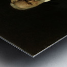 Portrait de M. Victor Hugo [1879] by Léon Bonnat [1833–1922] Metal print