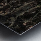 Ivan Zarevitsh [1880] by Victor Mikhailovich Vasnetsov [1848–1926] Metal print