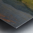 Little Garden in the Black Forest [1879] by Hans Thoma [1839–1924] Metal print