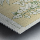 Leaves from Nature No.7 [1856] by Owen Jones [1809–1874] Metal print