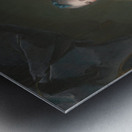 Madame Marsollier and Her Daughter [1749] by Jean–Marc Nattier [1685–1766] Metal print