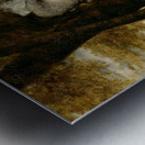 Lady Frances Finch by Sir Joshua Reynolds [1723–1792] Metal print