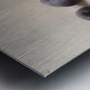 Twelve Plums [1896] by Joseph Decker [1853–1924] Metal print