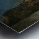 Gräser zwischen Felsen [1863] by Hans Thoma [1839–1924] Metal print