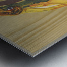 Auxergyl [1910–1950] by Laboratoires du docteur Roussel [20th Century] Metal print