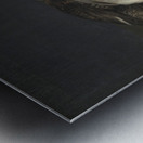 Wildfowl On A Wooden Table [1648–1681] by Jacob Biltius [1633–1681] Metal print