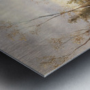 Fuchs mit Hunden [1888] by Moritz Müller II [19th century] Metal print