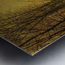 The Queen’s Highway by John Atkinson Grimshaw [1836–1893] Metal print