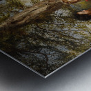 Sir Launcelot And Queen Guinevere by James Archer [1822–1904] Metal print