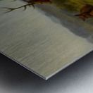 The Monarch of the Herd [1868] by Rosa Bonheur [1822–1899] Metal print