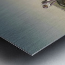 Renntag in der Freudenau by Carl Rudolf Huber [1839–1896] Metal print