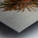 Beach in Fortaleza by Aurélio Figueiredo [1854 — 1916] Metal print