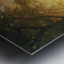 Light In The Forest by Albert Bierstadt [1830–1902] Metal print