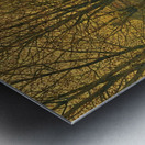 In The Golden Glow Of Autumn [1884] by John Atkinson Grimshaw [1836–1893] Metal print