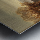 View Of Hardt On Lake Constance by Anton Doll [1826–1887] Metal print