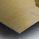 Rio de Janeiro Bay [1864] by Martin Johnson Heade [1819–1904] Metal print