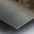 The Poor Dog [The Shepherd’s Grave] by Sir Edwin Henry Landseer [1802–1873] Metal print