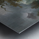 Ein Geier auf verendetem Hirsch [1832] by Friedrich August Matthias Gauermann [1807–1862] Metal print