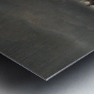 Fields near Dresden with a white Horse [1819] by Johan Christian Dahl [1788–1857] Metal print