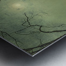 Moonlight on the lake. Roundhay Park. Leeds by John Atkinson Grimshaw [1836–1893] Metal print