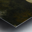 Two Horses By A Fence [1782] by Sawrey Gilpin [1733–1807] Metal print