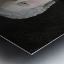 Maria Theresa. Archduchess of Austria. Queen of Hungary and Bohemia. And Holy Roman Empress [1747] by Jean–Etienne Liotard [1702–1789] Metal print