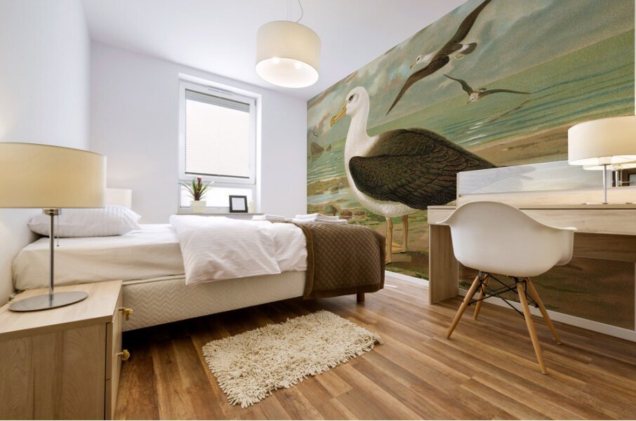 Diomedea melanophrys Boie. Schwarzzugeliger Albatros by Johann Friedrich Naumann [1780–1857] Mural print