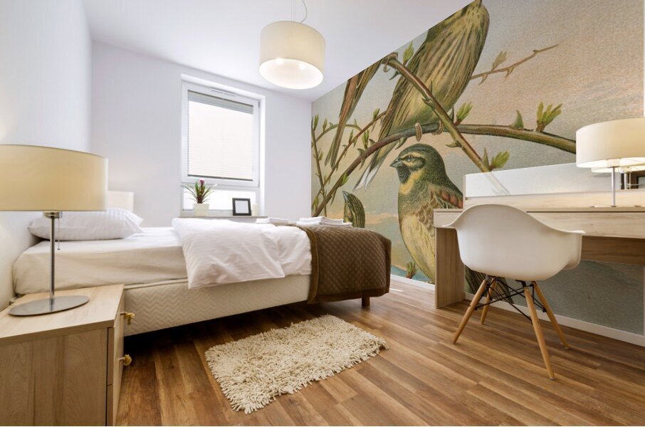 Emberiza citrinella. Emberiza cirlus by Johann Friedrich Naumann [1780–1857] Mural print