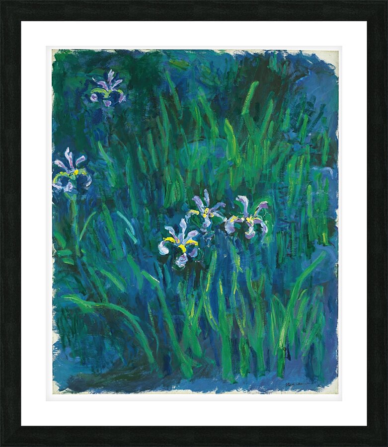 Iris by Claude Monet [1840–1926] Picture Frame print