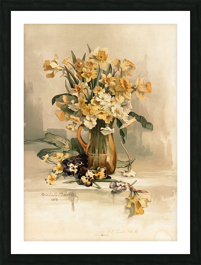 Jonquils [ca. 1861–1897] by Annie Nowell [1842–1935] Picture Frame print