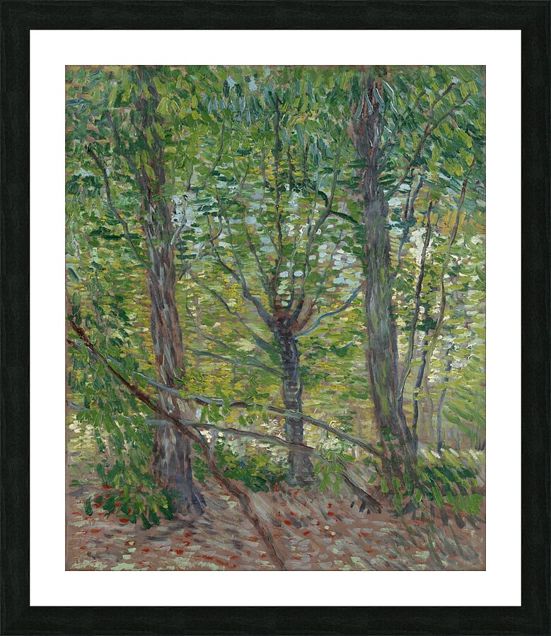 Trees by Vincent van Gogh [1853–1890] Picture Frame print