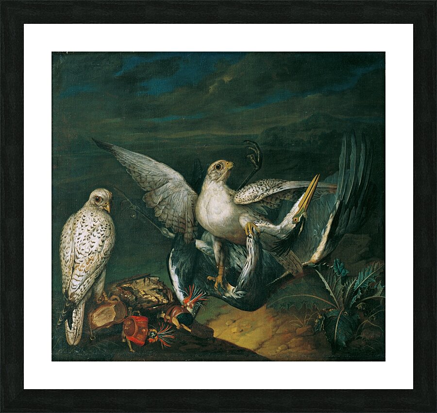 Weiße Jagdfalken Mit Einem Fischreiher [1748] by Philipp Ferdinand de Hamilton [ca. 1664–1750] Picture Frame print