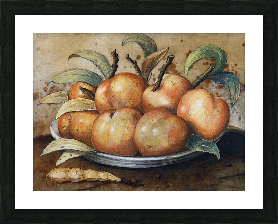 Stillleben Mit Pfirsischen Und Johannisbrot by Giovanna Garzoni [1600–1670] Picture Frame print