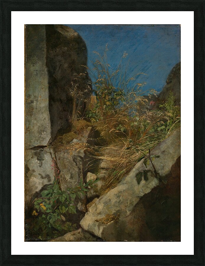 Gräser zwischen Felsen [1863] by Hans Thoma [1839–1924] Picture Frame print