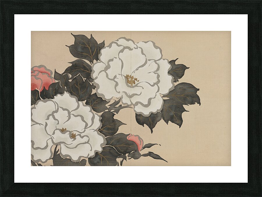 Peonies [Fukamigusa] [1909–1910] by Kamisaka Sekka [1866–1942] Picture Frame print