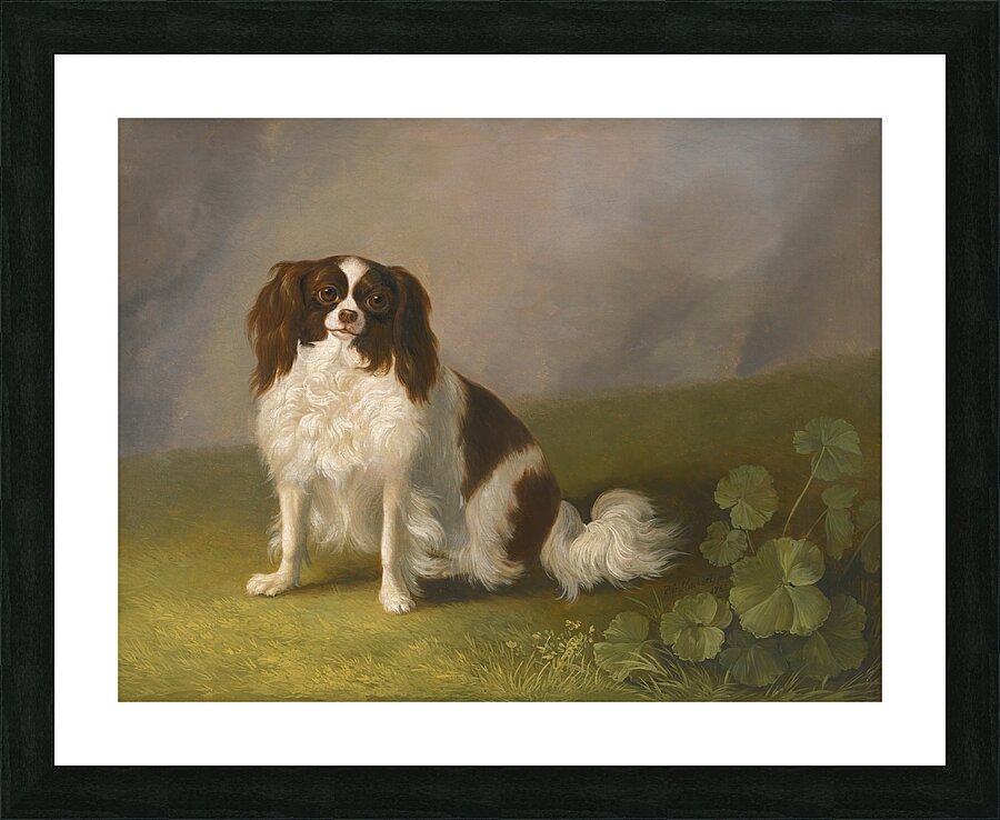 Portrait Of A King Charles Spaniel In A Landscape by Jakob Philipp Hackert [1737–1807] Picture Frame print