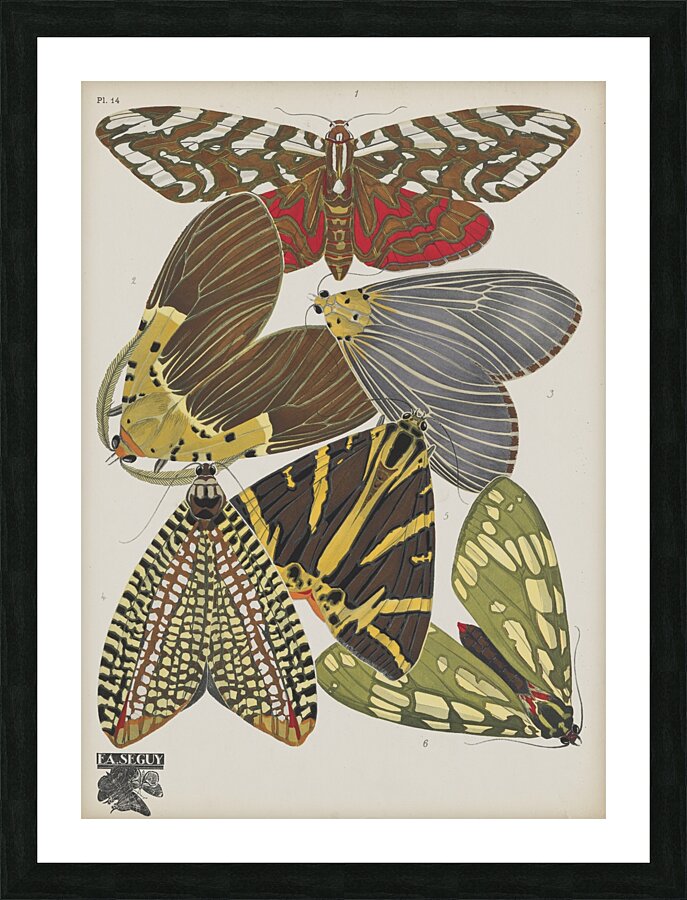 Papillons Pl.14 [1920] by Emile–Allain Séguy [1877–1951] Picture Frame print