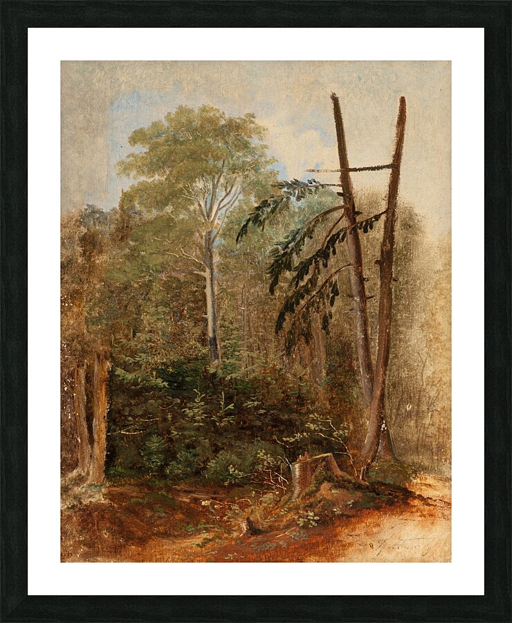 Study of a Woodland Landscape by Carl Spitzweg [1808–1880] Picture Frame print