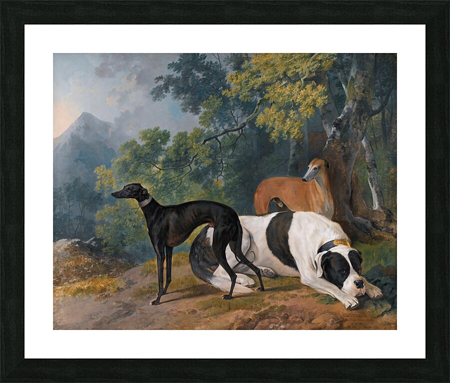 Two Greyhounds And A Mastif Belonging To The Duke Of Hamilton [1780] by Sawrey Gilpin [1733–1807] Picture Frame print