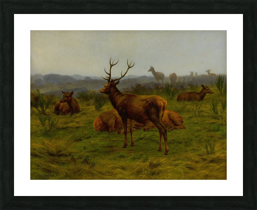 The Monarch of the Herd [1868] by Rosa Bonheur [1822–1899] Picture Frame print