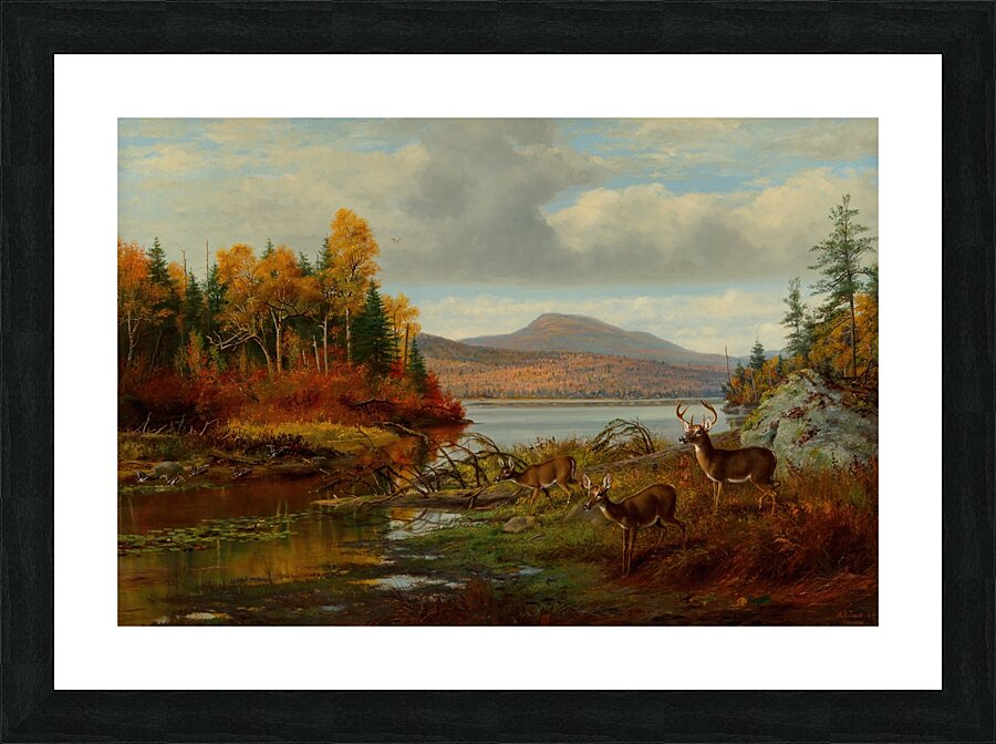 Late Autumn. Long Lake. Hamilton Co.. New York. Adirondacks [1881] by Arthur Fitzwilliam Tait [1819–1905] Picture Frame print