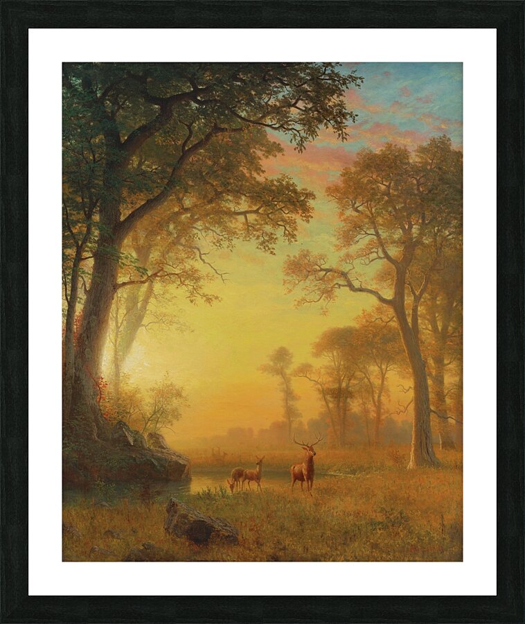 Light In The Forest by Albert Bierstadt [1830–1902] Picture Frame print
