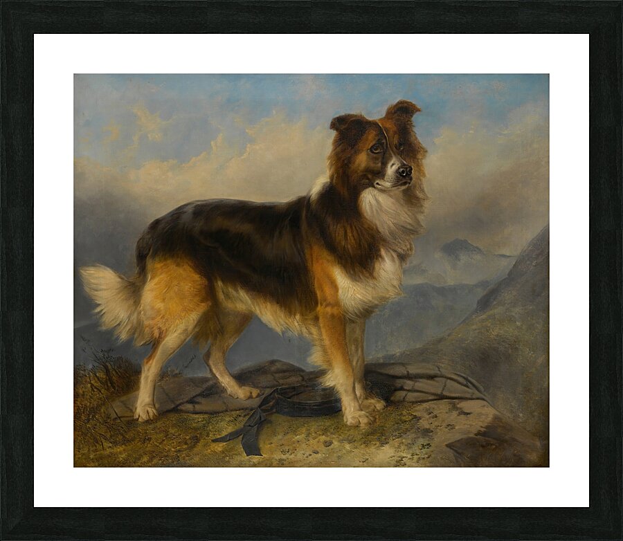Sammie [1877] by Richard Ansdell [1815–1885] Picture Frame print